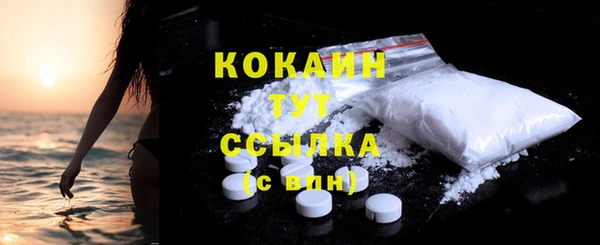 молекула духа Арсеньев