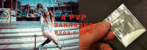 молекула духа Арсеньев