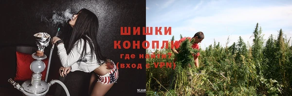 молекула духа Арсеньев
